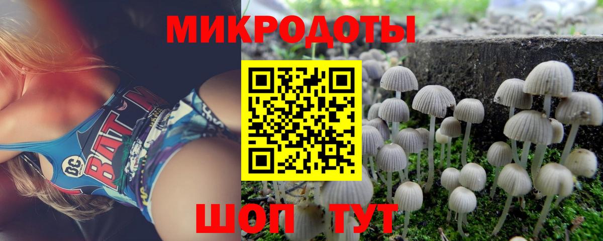 Черногорск  как найти закладки  Вход с VPN  Псилоцибиновые грибы Psilocybine cubensis 