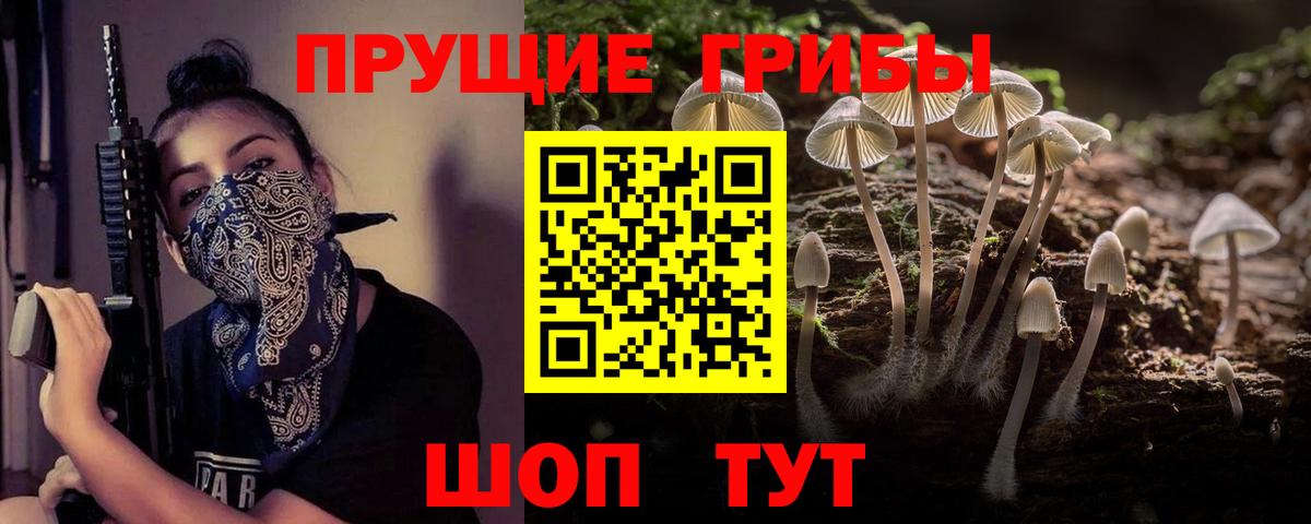 Галлюциногенные грибы ЛСД Черногорск